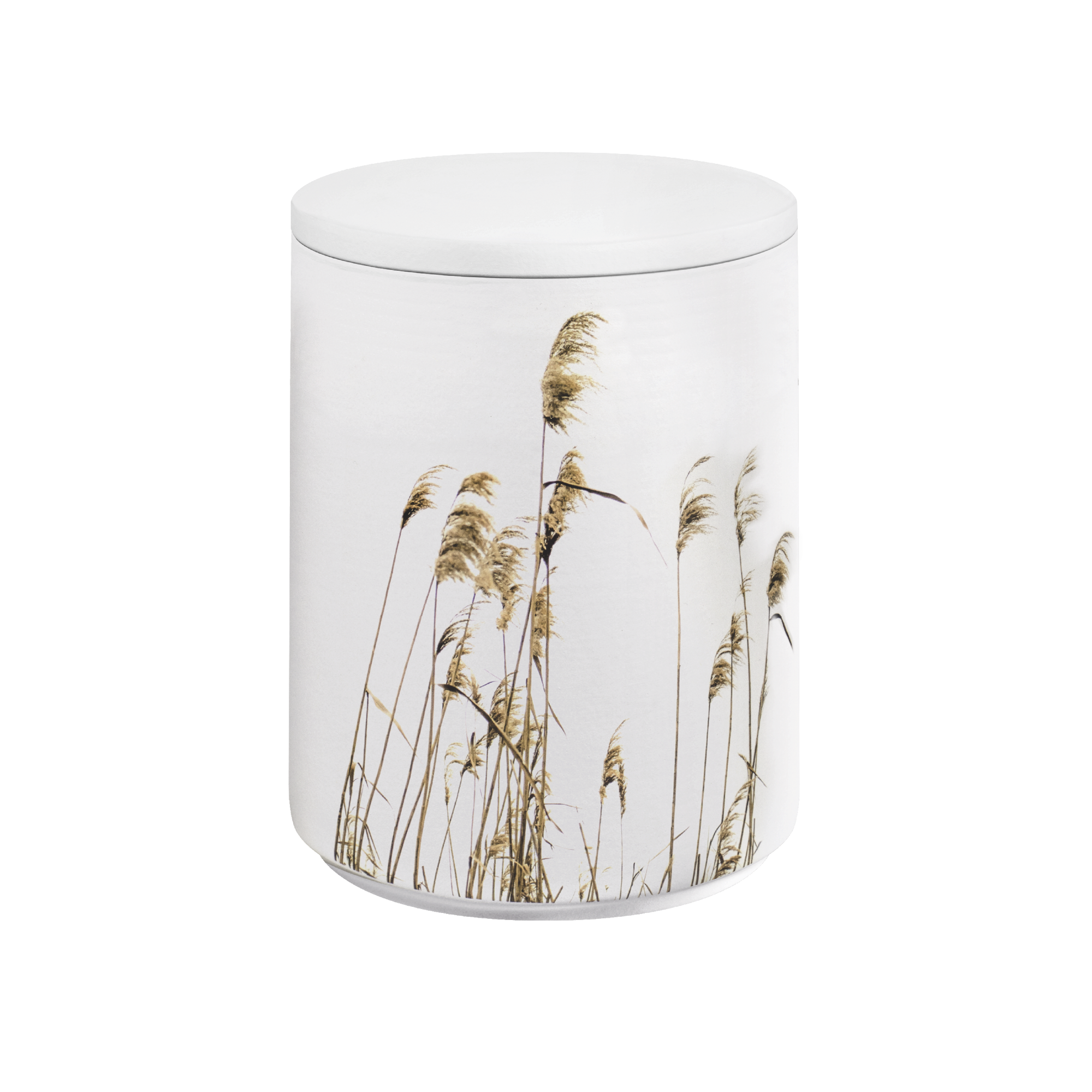 Urne 37544 FLORA AQUA Schilf weiß Urne 37544 FLORA AQUA Schilf weiß