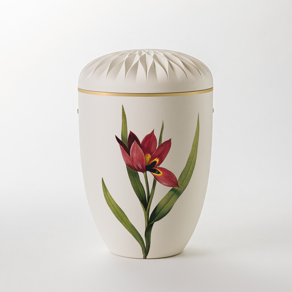 Urne UR3-cw Dahlie cremeweiß mit Dekor UM 109 Tulpe